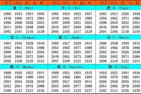 水狗命|82年的狗属于什么命？水狗的特点和运势分析